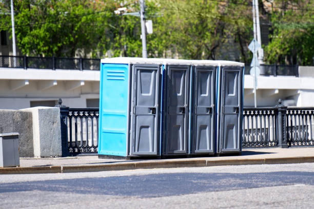 Best Affordable portable toilet rental  in Elbow Lake, MN