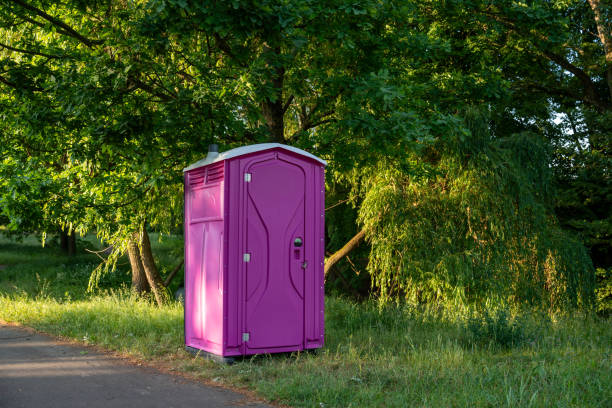 Best Local porta potty services  in Elbow Lake, MN